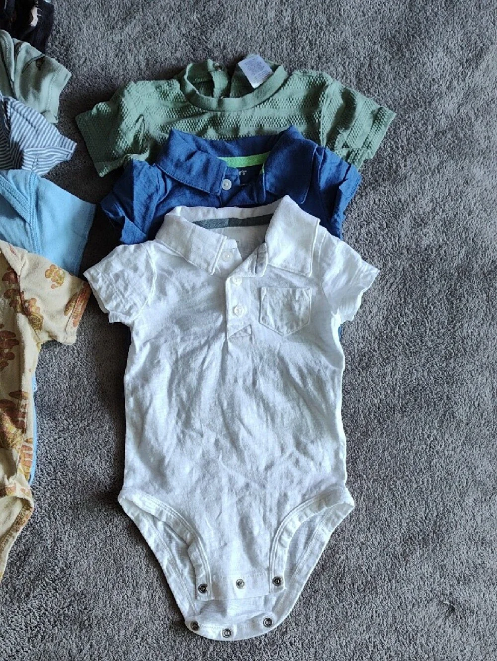 Carters comes from